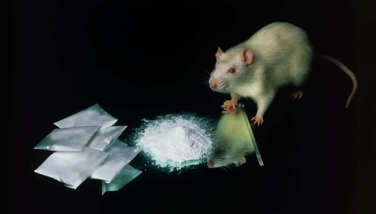 © NTB Scanpix, Science Photo Library