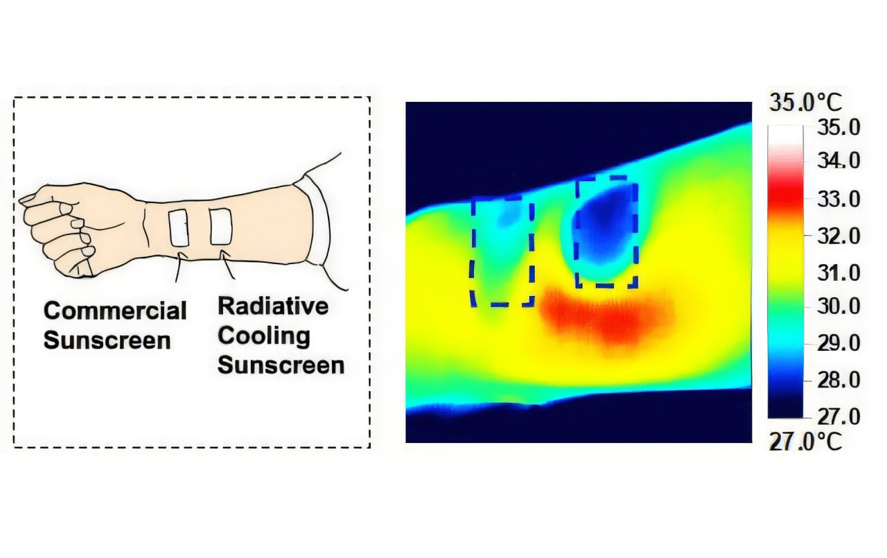 Прототип солнцезащитного крема SPF 50 использует радиационное охлаждение, чтобы не только защитить кожу от УФ-лучей, но и сделать ее прохладнее. Вот как выглядит разница между действием SPF-крема из розничной продажи и опытным образцом при измерении с помощью тепловой камеры (синяя область на правом изображении) / © Nano Letters 2024, DOI: 10.1021/acs.nanolett.4c04969