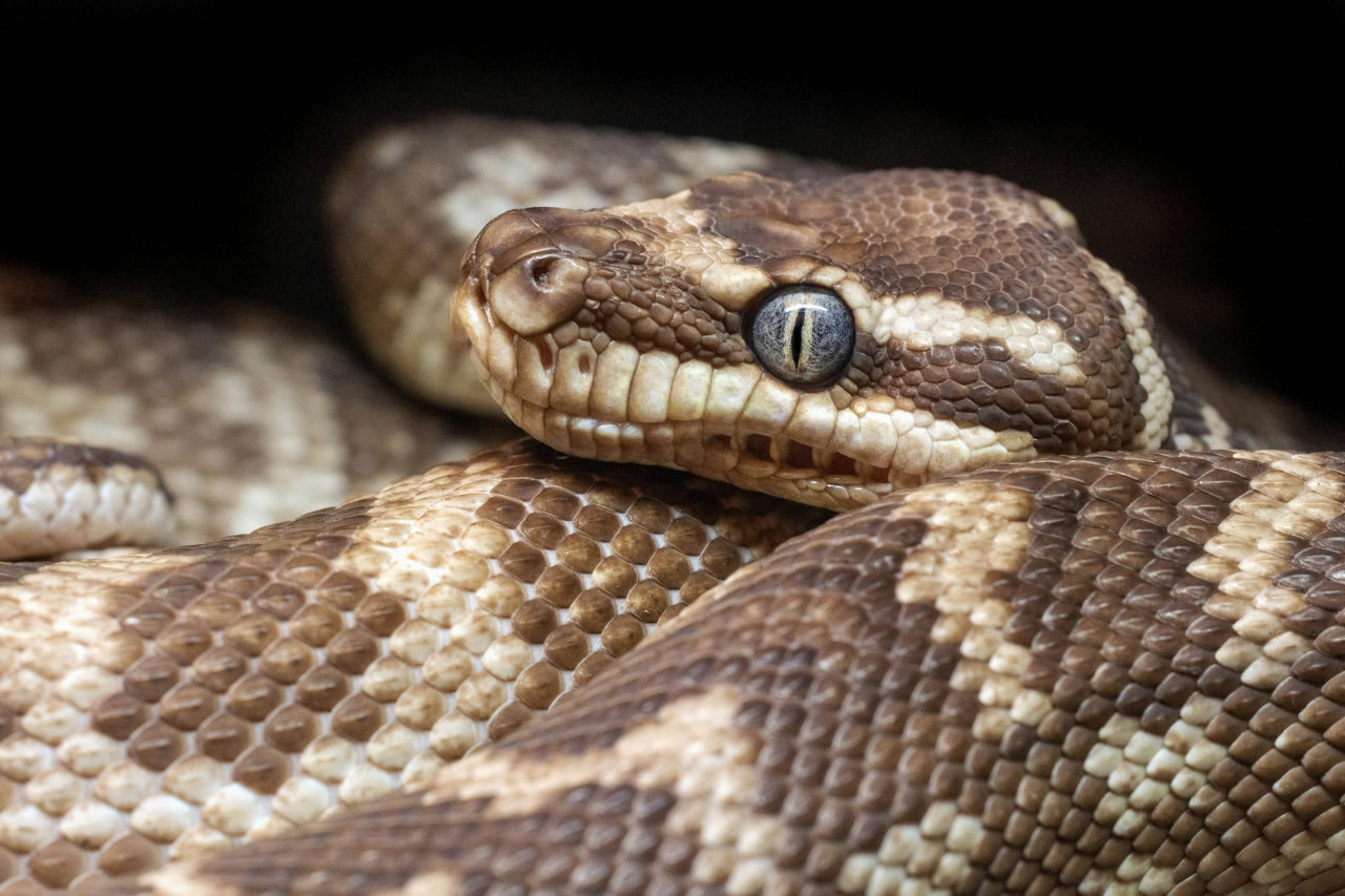 © David Clode, unsplash.com