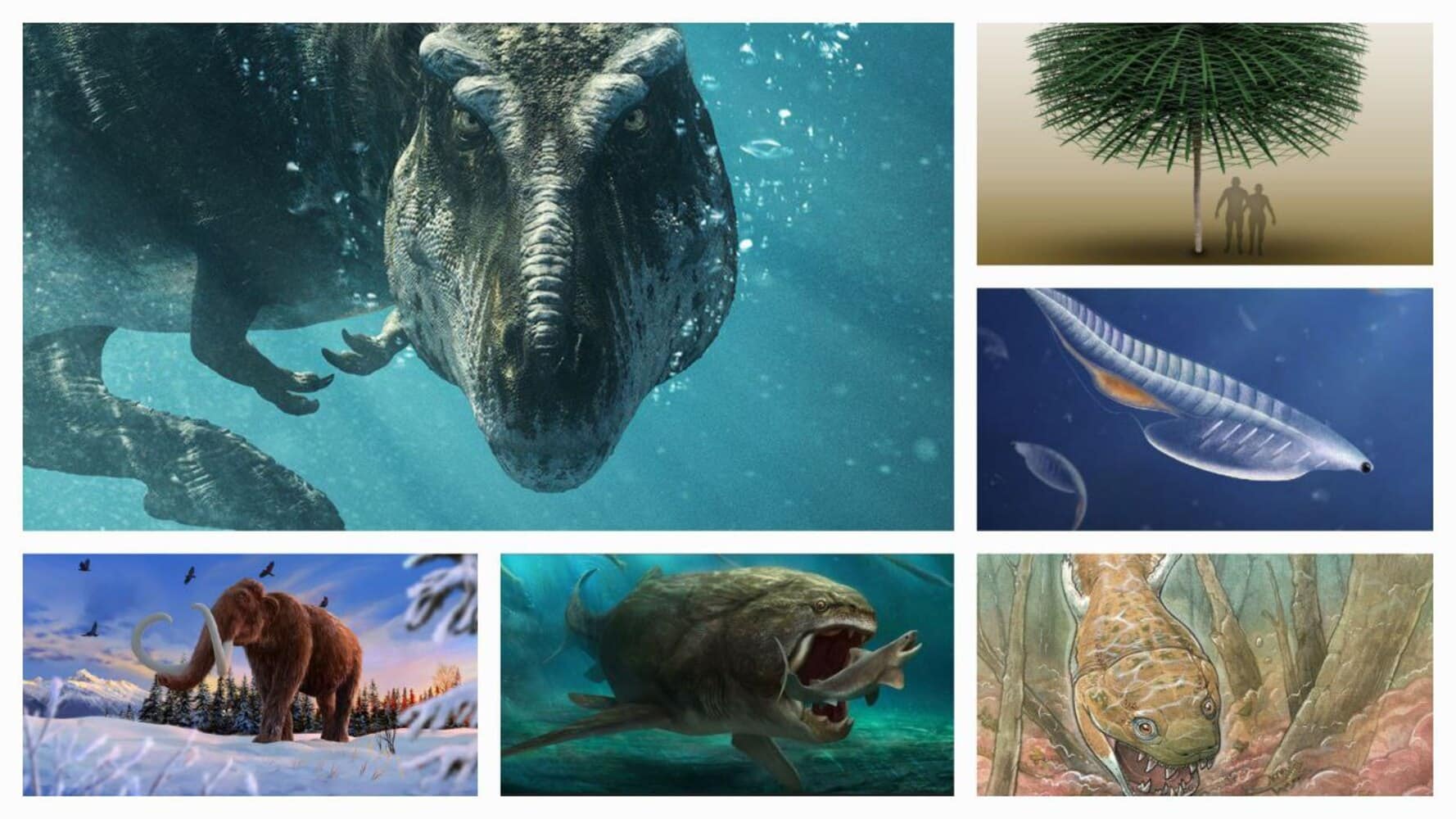 Главные герои 2024 года в палеонтологии (слева направо и сверху вниз): Тираннозавр Tyrannosaurus rex / © «Prehistoric planet», Apple TV+; Sanfordiacaulis densifolia / © sci.news, Tim Stonesifer; Nuucichthys rhynchocephalus / © sci.news, Franz Anthony; шерстистый мамонт  Mammuthus primigenius / © eartharchives.org, Lucas Lima; Dunkleosteus terrelli / © Mike Parnell via pinterest.com; Gaiasia jennyae / © independent.co.uk, Gabriel Lio, SWNS