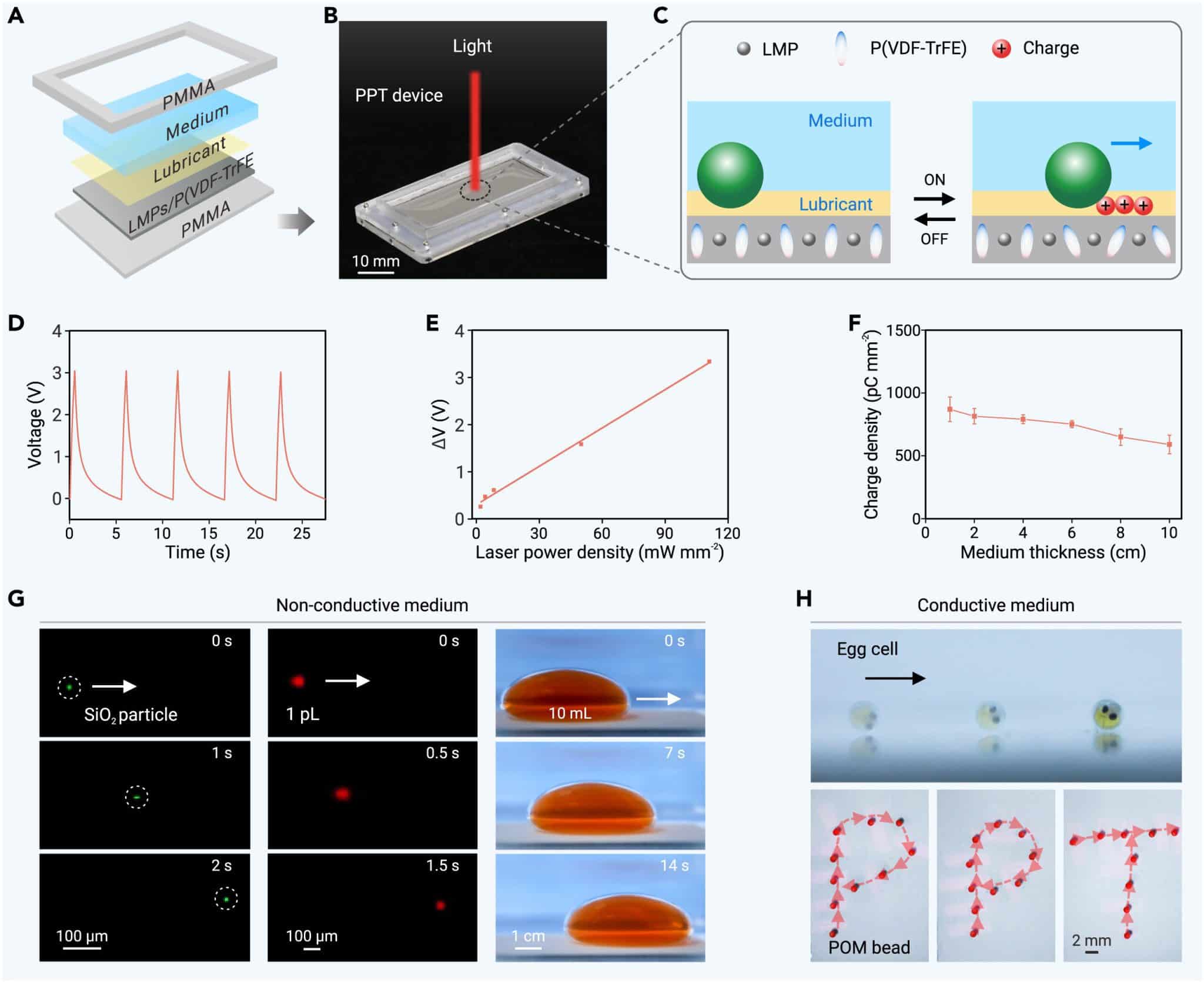 (A) Схематическая иллюстрация устройства PPT, состоящего из жидкой среды, слоя смазки и пленки, зажатой между верхним и нижним слоями из полиметилметакрилата. (B) Фотография платформы PPT, включающей источник NIR-излучения и портативное устройство PPT. Масштаб: 10 мм. (C) Схематическая иллюстрация платформы PPT для манипуляции объектами на основе фотопироэлектрического эффекта. (D) Выходное напряжение устройства PPT при воздействии NIR-излучения. (E) Изменение напряжения возрастает с 0,26 до 3,34 ватта при увеличении плотности мощности лазера от 2 до 111 милливатт на квадратный миллиметр. (F) Плотность заряда, индуцированного светом в PPT, меняется незначительно при увеличении толщины слоя силиконового масла. (G) Манипуляция пятимикрометровой частицей диоксида кремния, каплей воды объемом один пиколитр и каплей воды объемом 10 микролитров в силиконовом масле. (H) Манипуляция живой яйцеклеткой японской медаки диаметром один миллиметр и временная траектория одномиллиметрового шарика из полиоксиметилена в проводящей среде воды. / ©  The Innovation (2024). DOI: 10.1016/j.xinn.2024.100742