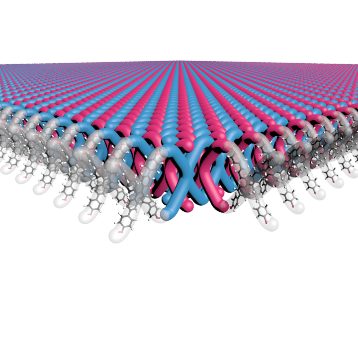Полученные учеными кристаллы состоят из слоев механически сцепленных двумерных листов, внутри которых связаны X-образные мономеры / © Madison I. Bardot et al.