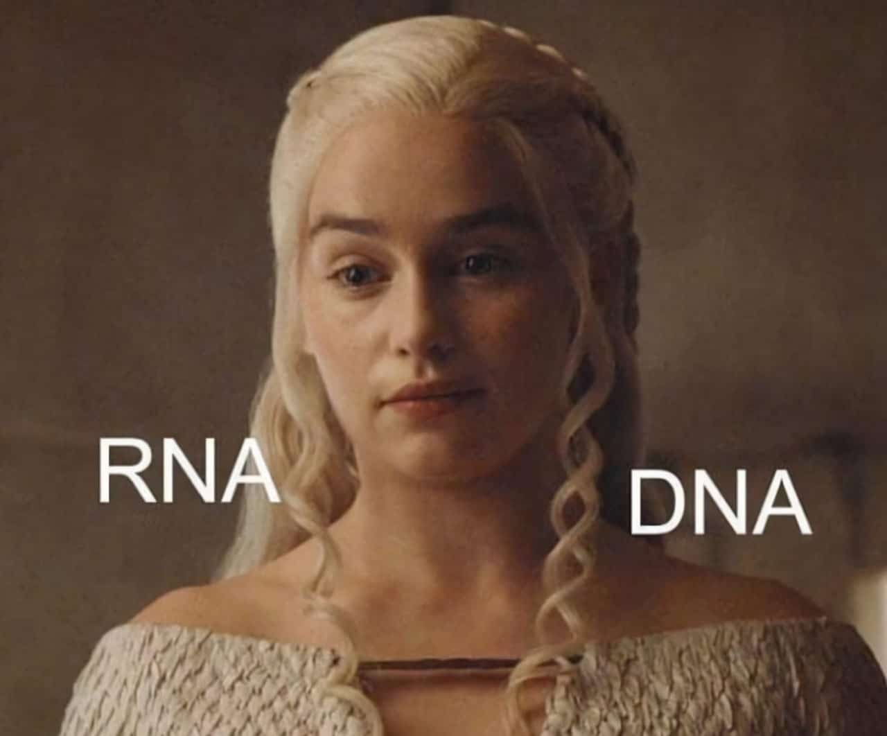 Один из мемов, использованный в филиппинском эксперименте / © twimg.com