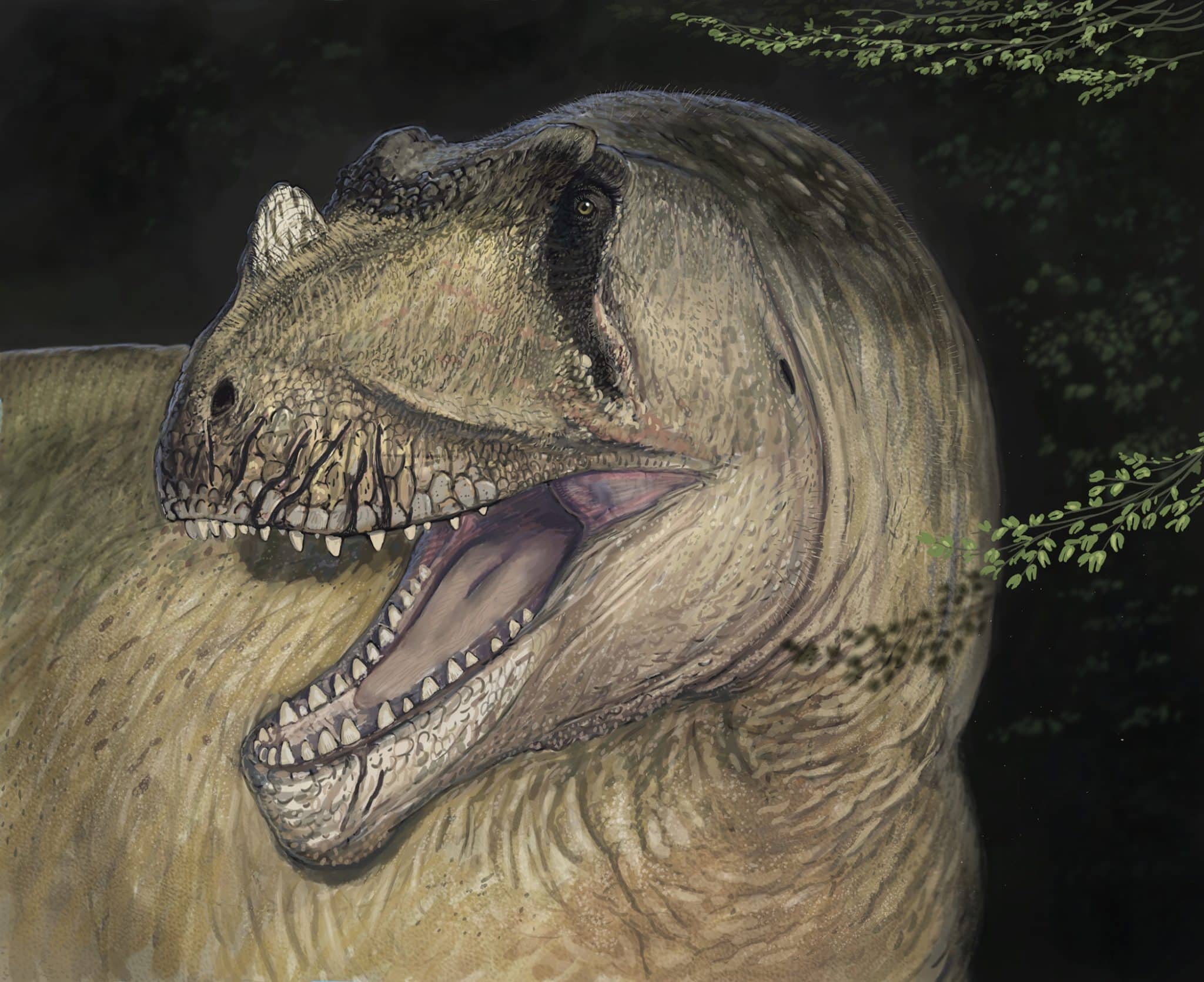 Реконструкция Tameryraptor markgrafi / © PLOS One, Joschua Knüppe.
