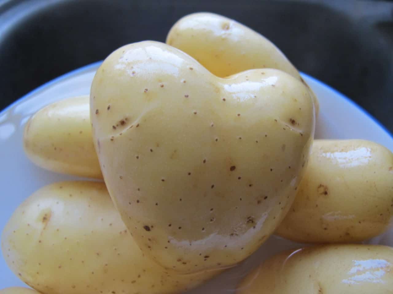 © Rain Rabbit, flickr.com