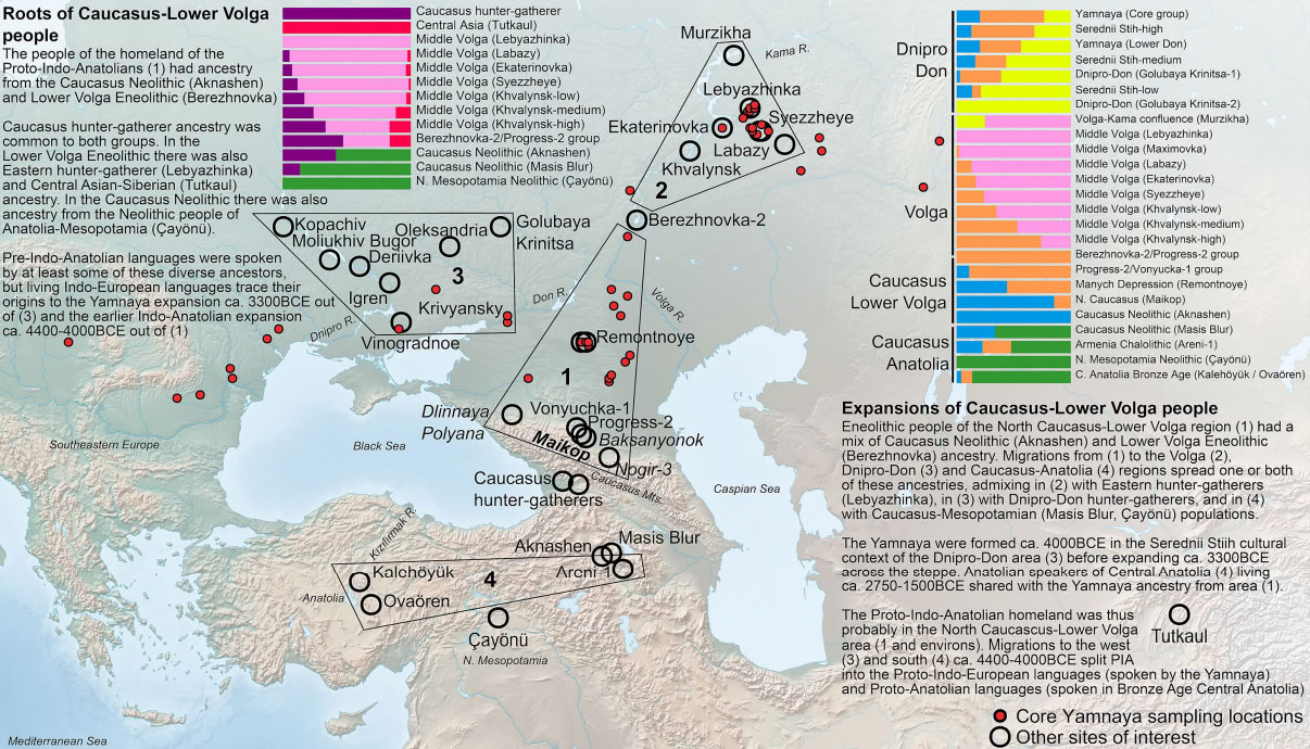 Карта из работы. Цифрой 1 в ней показана популяция Нижняя Волга-Кавказ, давшая 80% генов ямников, а также 10% генов народа хеттов. К северу от него лежит популяция охотников-собирателей Средней Волги, внесшая определенный вклад в гены ямников (индоевропейцев). К западу у Днепра лежит популяция охотников-собирателей с территории современной Украины, которые дали до 20% генов ямникам-индоевропейцам / © Iosif Lazaridis et al.