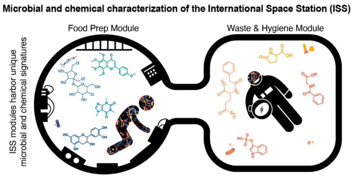 © Rodolfo Salifo et al.