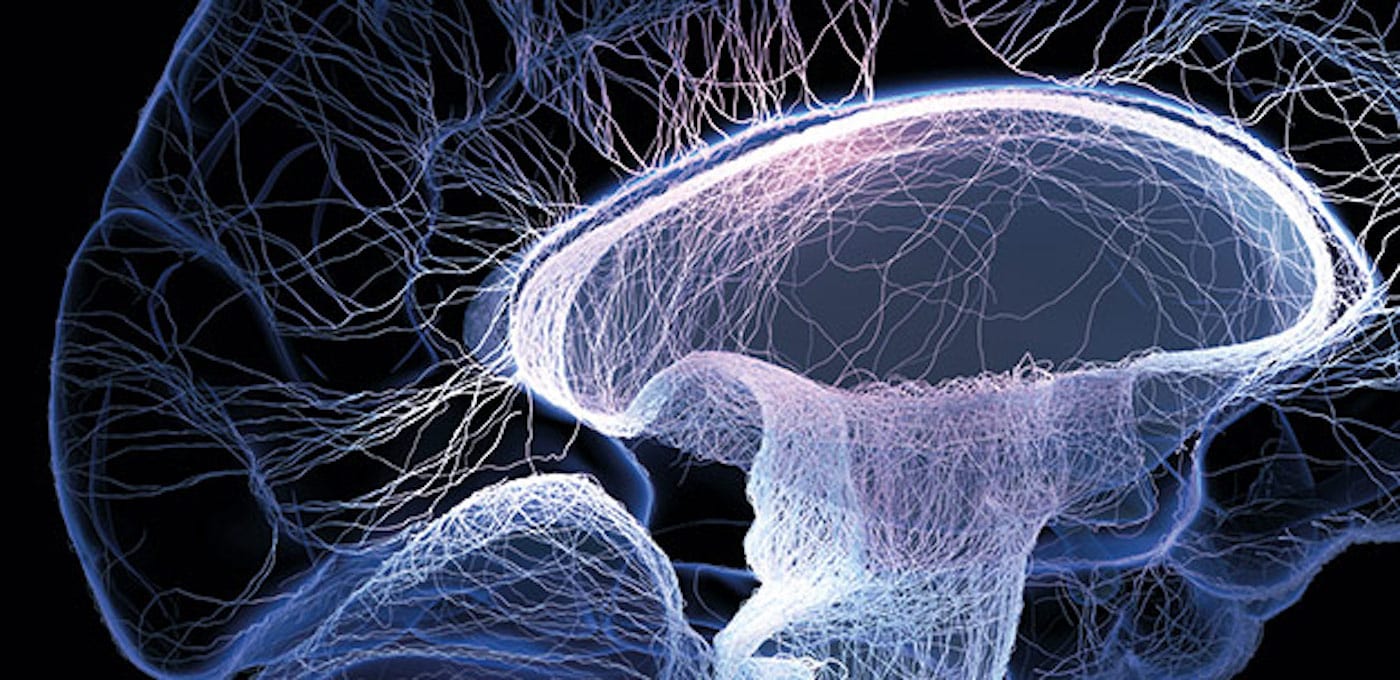 Условная визуализация нейронных путей мозга / © Johan Swanepoel/iStock/Thinkstock