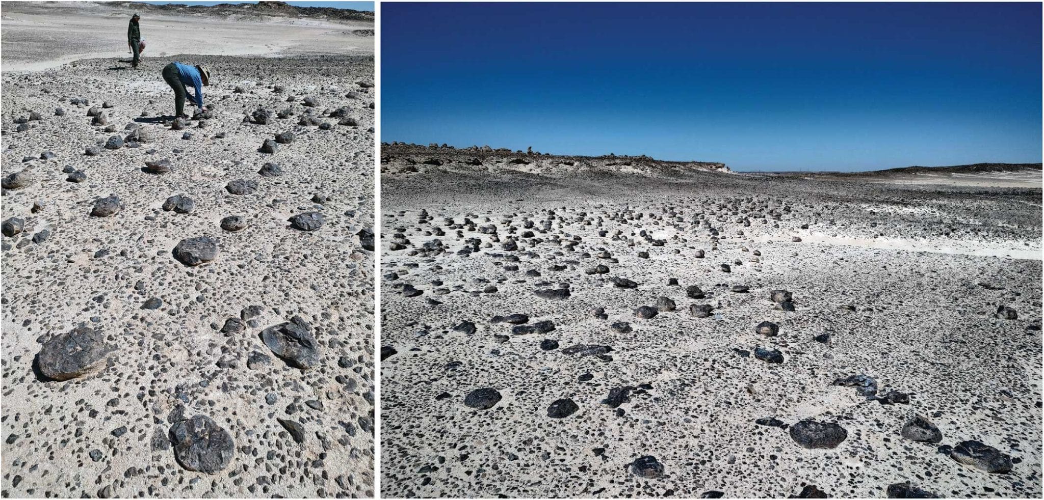 Поле кремниевых «шаров» с раковистым изломом и термическими трещинами близ города Дукм (Оман). Тысячи острых отщепов образовались здесь естественным путем / © Michelle R. Bebber and Metin I. Eren