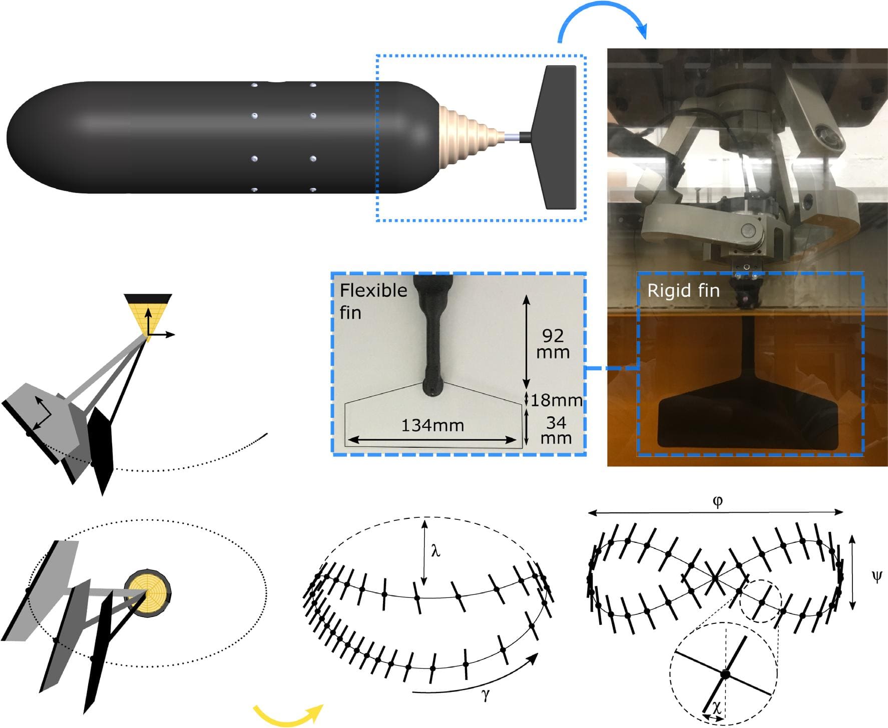 Образец трехмерной кинематики движителя, вращающегося по траектории восьмерки и эллипса / © Cecilia Huertas-Cerdeira et al.