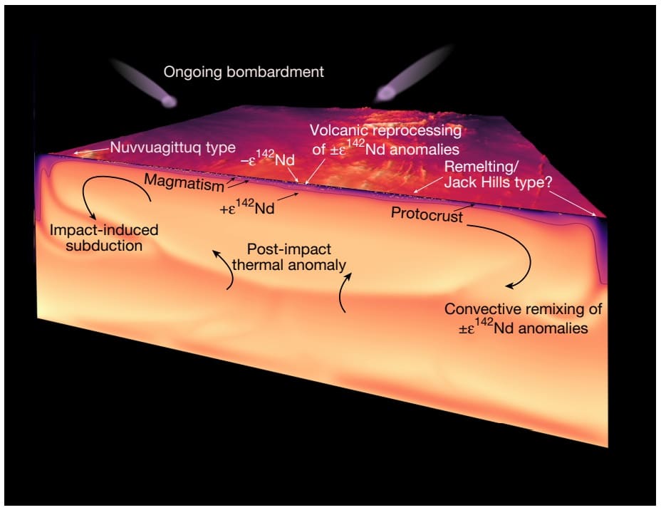 Диаграмма показывает процессы, происходящие в магматическом океане в катархее, изотопные резервуары и образование потенциального массива. Цвета отражают тепловое поле в модели конвекции при участии ударных событий и вулканизма. Поверхность — доархейский массив (показана только с иллюстративными целями) / © Simon Turner et al., Nature, 2025