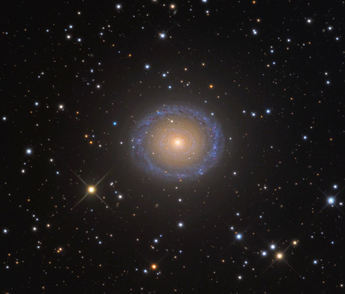 Галактика NGC 7217, в которой часть звезд движутся в обратном направлении / © Adam Block/Mount Lemmon SkyCenter/University of Arizona