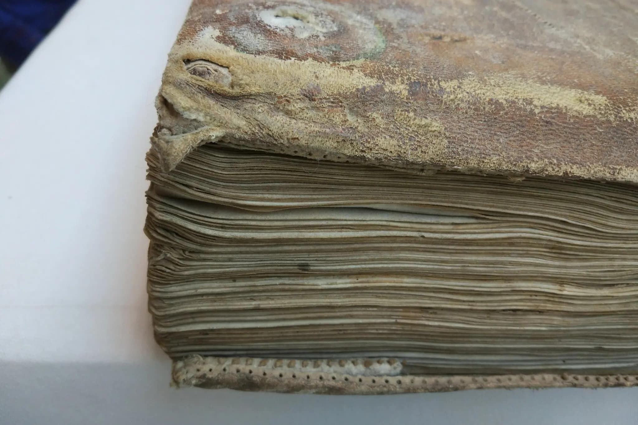 Во время Французской революции аббатство Клерво, в котором создавались книги, закрыли и превратили в тюрьму. Рукописи оказались рассредоточены по всей территории страны. Сегодня многие из них хранятся в Публичной библиотеке города Труа / © Matthew Collins