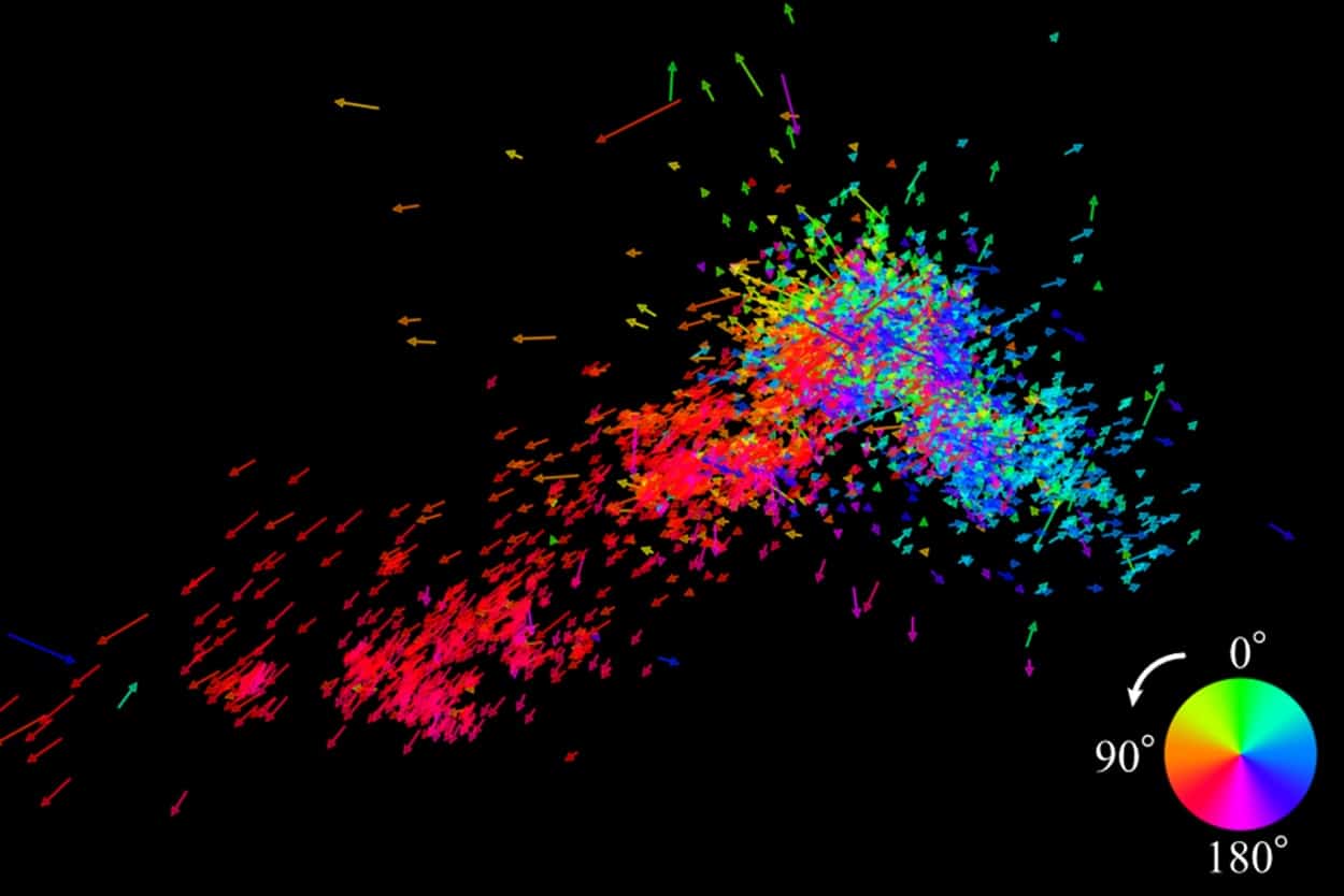 Векторы скоростей массивных звезд в Малом Магеллановом Облаке (ММО). Цвет стрелок указывает направление движения. Большинство красных векторов (в нижней части) направлены к Большому Магелланову Облаку (БМО), расположенному слева внизу. Голубые стрелки демонстрируют обратный тренд — звезды «убегают» от соседней галактики. Такая картина подтверждает, что гравитация БМО буквально разрывает ММО на части / © Satoya Nakano