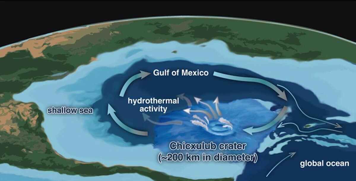 После падения астероида начался процесс экологического восстановления, который продолжался сотни тысяч лет / © Sato et al.