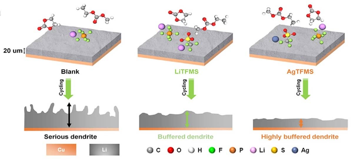 Использование электролита с серебром приводит к образованию двойного защитного слоя, который, как буфер, подавляет появление дендритов / © Jong Hun Sung et al.