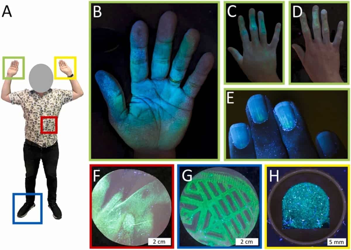 Оценка участия подозреваемого и свидетеля в инцидентах со стрельбой: тестирование кожи ладоней, ткани, подошвы обуви и окурка / © Kendra Adelberg et al.