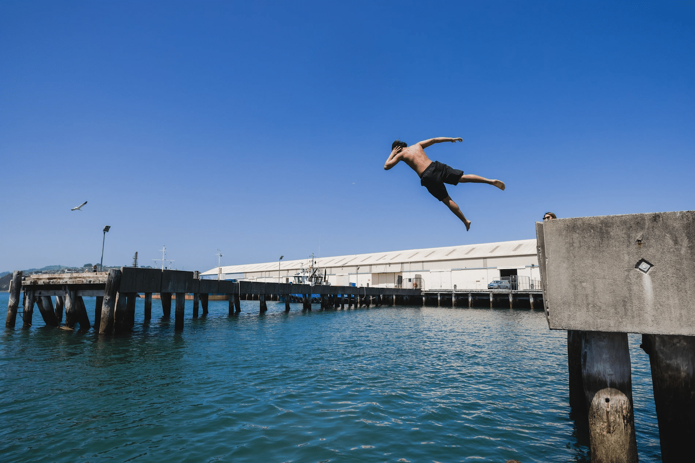 Один из прыжков во время конкурса Ману на Стимер-Уорф, Данидин, Новая Зеландия / © Derek Morrison