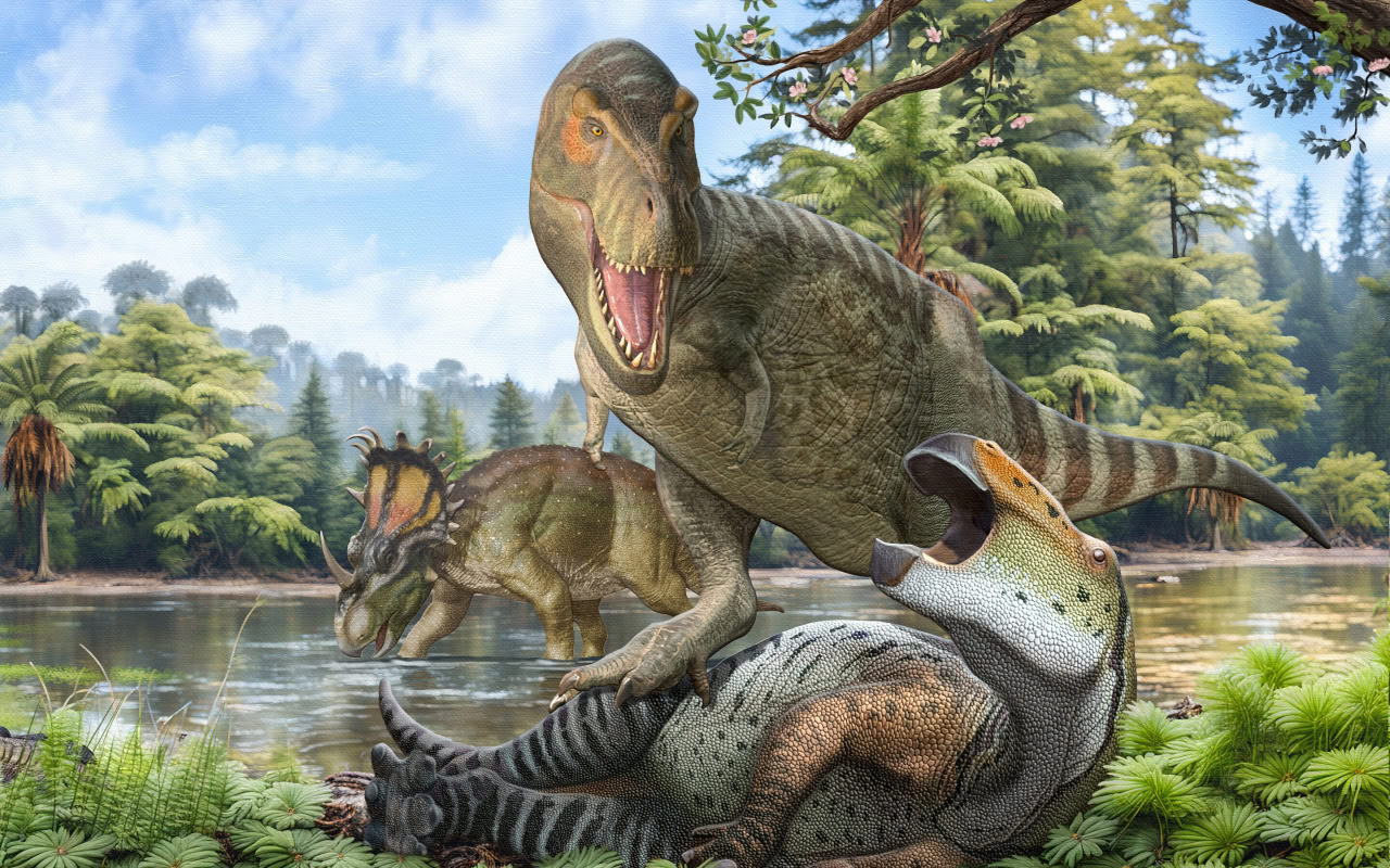 Тираннозавр (справа) в представлении художника. Стоит отметить, что многие ученые сегодня считают, что в реальности эти существа были покрыты перьями / © Pedro Salas and Sergey Krasovskiy.