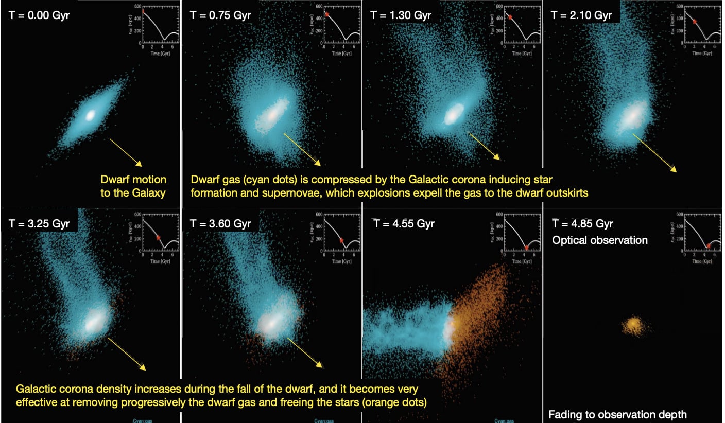 Численное моделирование эволюции карликовой сфероидальной галактики-спутника на орбите вокруг Млечного Пути в течение примерно пяти миллиардов лет. Каждый кадр показывает, как изменяется распределение газа (голубые точки) и звезд (оранжевые точки) в галактике в процессе ее гравитационного взаимодействия с нашей Галактикой — от начального сближения до утраты газа и разрушения структуры / © Hammer, François, LIRA, Paris Observatory – PSL, CNRS, France