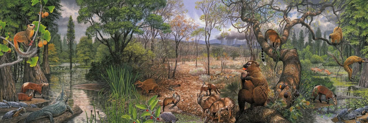 Именно в этот период палеоцен-эоценового термического максимума по планете начали широко распространяться отряды приматов (куда входим мы), парнокопытных и непарнокопытных (куда входит большинство из современных крупных травоядных) / © NGM, Aldo Chiatta