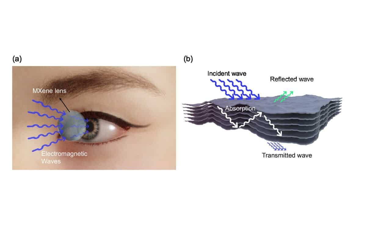 Схема работы контактной линзы с максеновым покрытием. / © doi.org/10.1002/smsc.202400628
