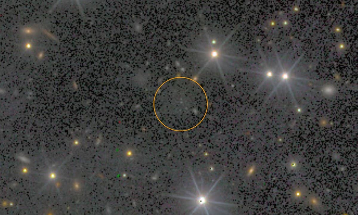 На изображении CDG-2 — новый кандидат в темные галактики. / © Dayi Li, et.al. Astrophysical Journal Letters 2025