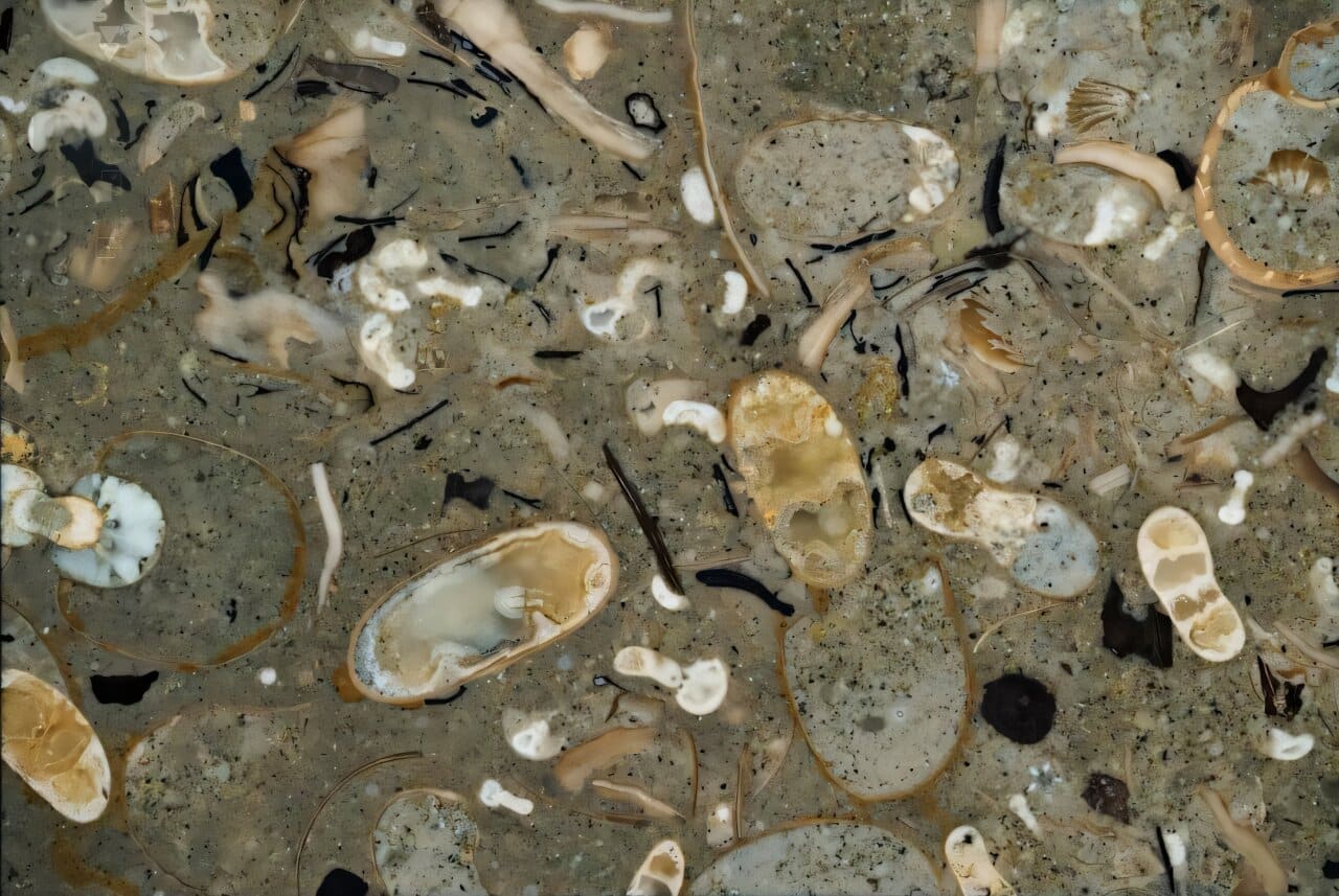 Японские ученые из Университета Хоккайдо придумали новую методику, позволяющую проводить полную 3D-оцифровку горных пород. Это помогает увидеть недоступные ранее слои без разрушения образцов / © Ikegami et al., Science, June 26, 2025