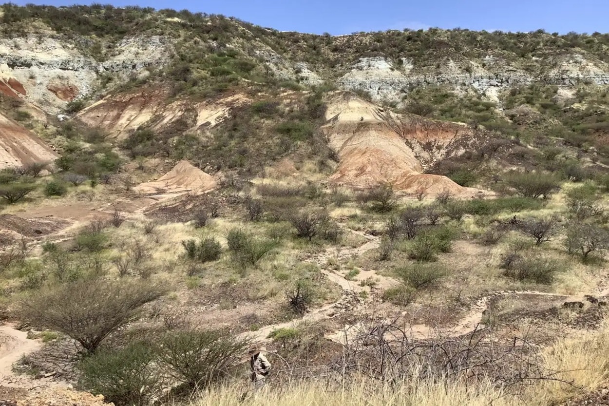 Часть Великой рифтовой долины в Кении, где ученые нашли окаменелости возрастом 18 миллионов лет / © Ellen Miller