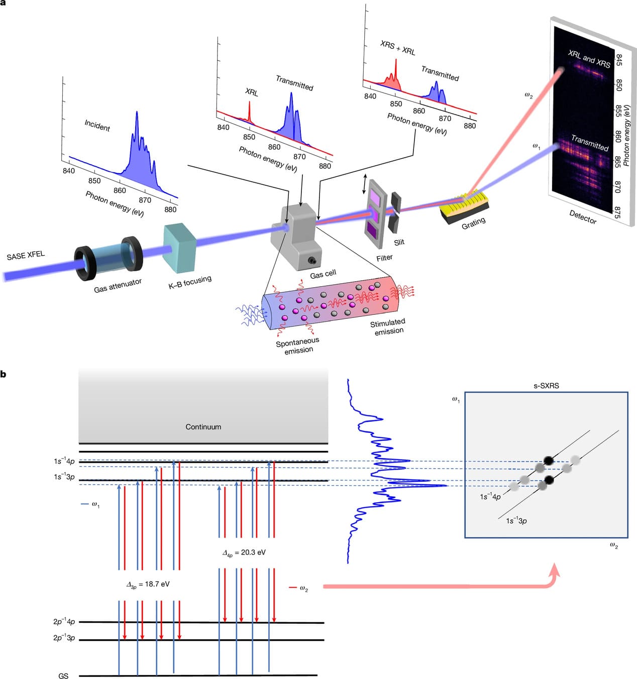 Экспериментальная схема работы нового метода / © Kai Li et al.