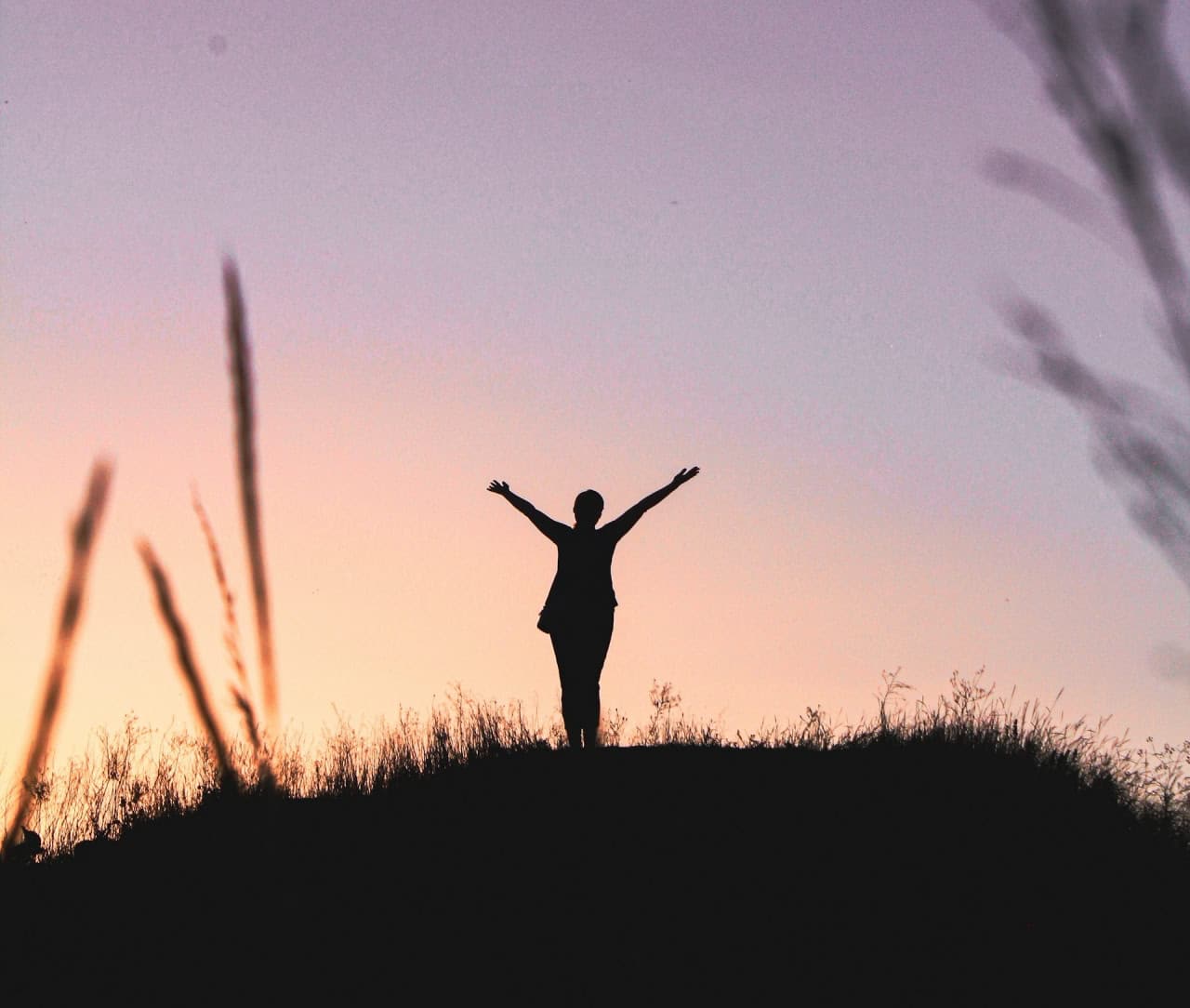 © Oleksii Holovachko, unsplash.com