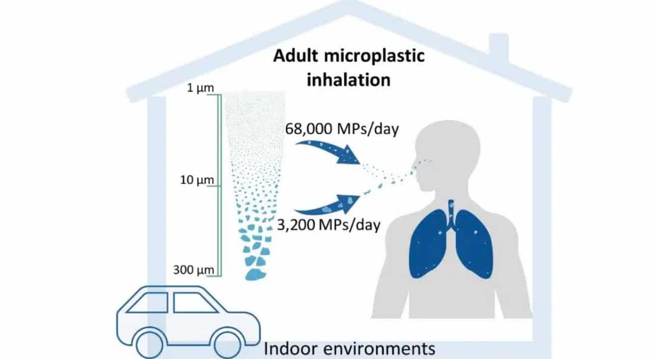 Количество частиц микропластика разных размеров, попадающих в дыхательные пути человека каждый день / © Nadiia Yakovenko et al. ,