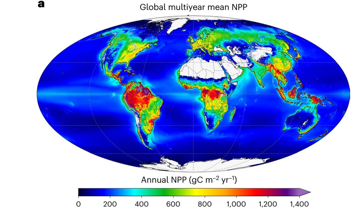 Изменения в нетто-биопродуктивности по фотосинтезу на Земле за 2003-2021 годы / © Yulong Zhang et al.