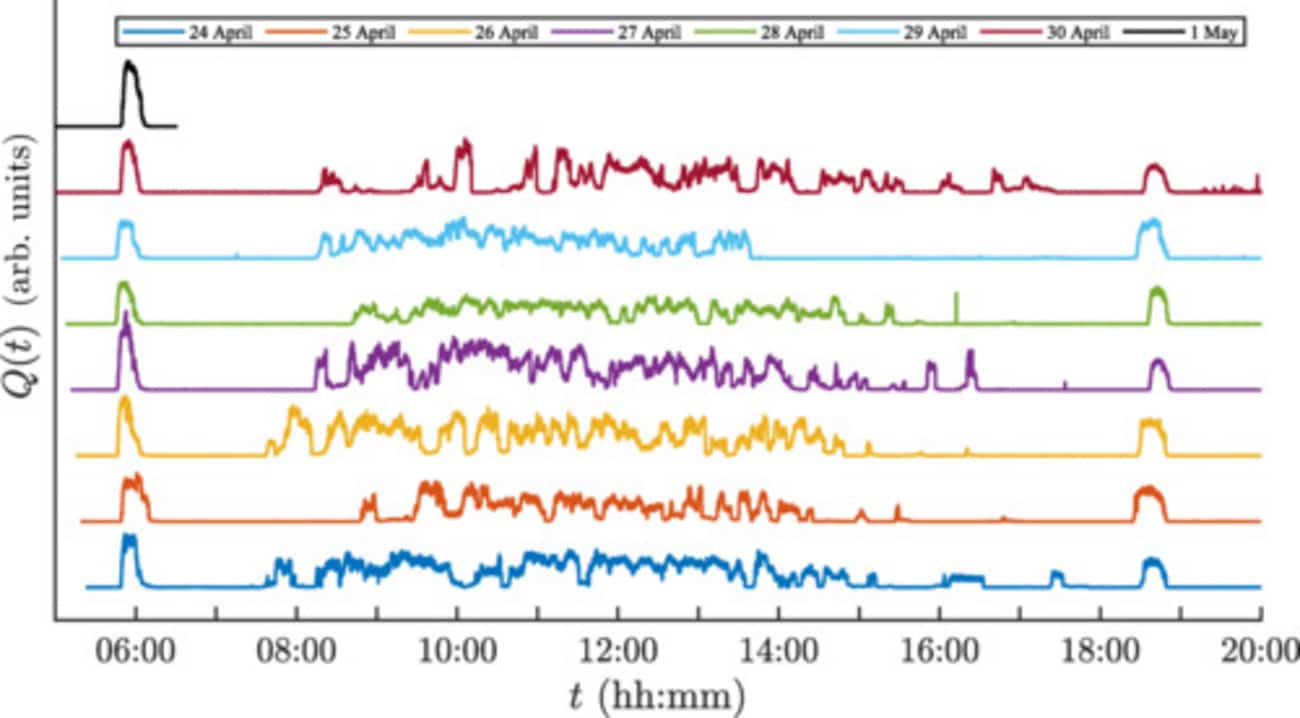 Временная шкала интенсивности пения цикад на протяжении восьми дней / © Rakesh Khanna A. et al.