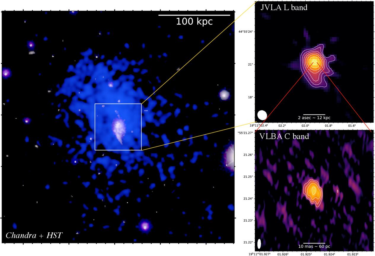 Слева: крупномасштабное комбинированное изображение скопления галактик CHIPS 1911+4455, полученное с помощью обсерватории «Чандра». Справа: снимки, полученные при помощи сети радиотелескопов JVLA и VLBA  / ©  Univ. of Bologna/F.Ubertosi