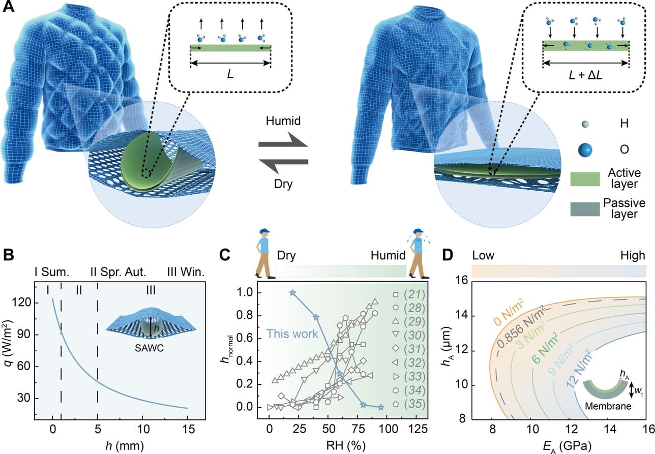 Одежда с новым наполнителем способна сохранить комфортный температурный режим на несколько часов, что особенно важно при долгой работе на улице / © Xiaofeng Jiang et al.