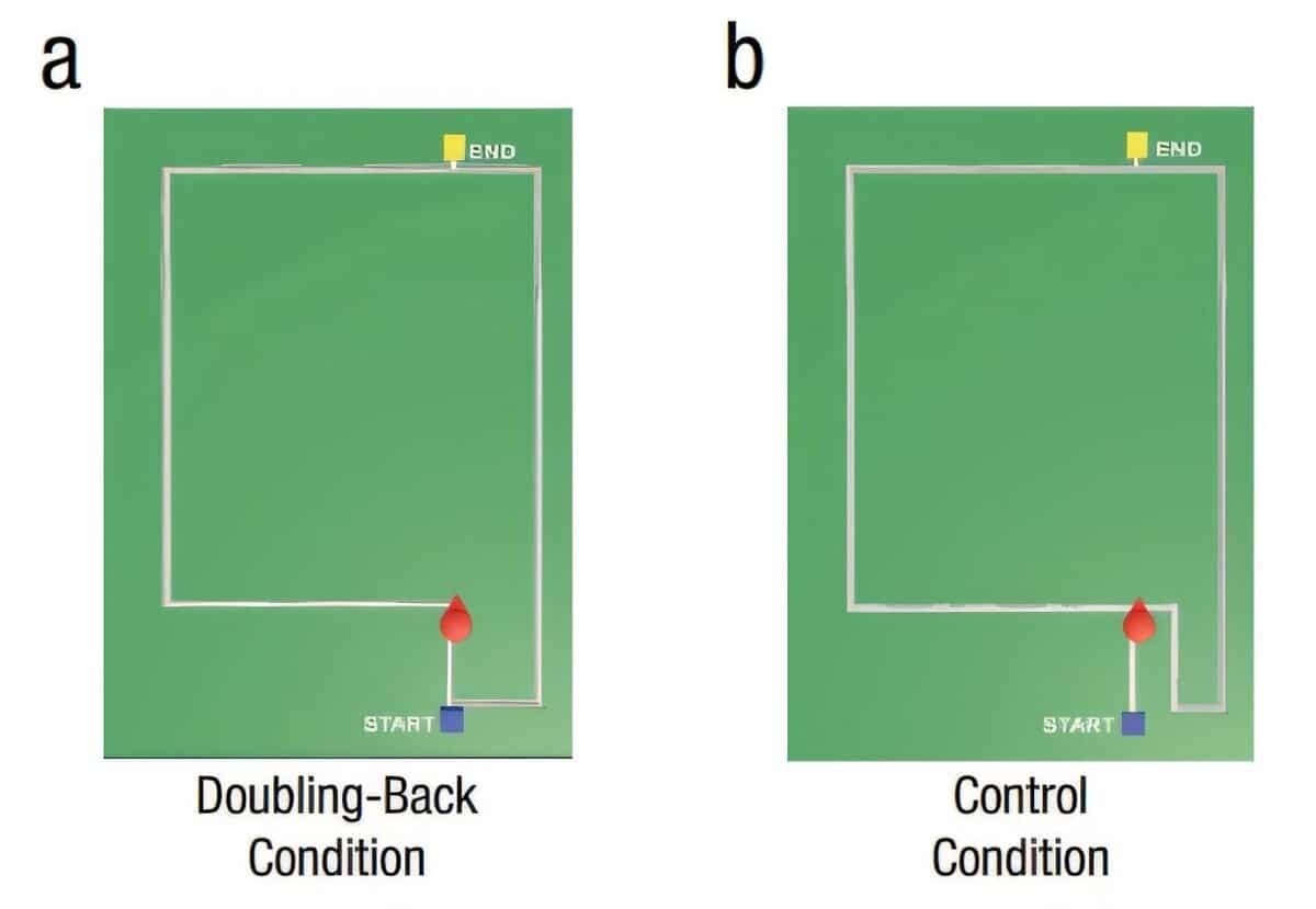 Еще достаточно близко, чтобы вернуться и пойти по более короткому маршруту, но сделаете ли вы это? / © Psychological Science