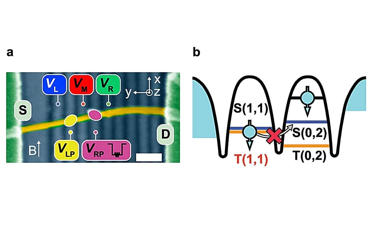a) Раскрашенное СЭМ-изображение созданной учеными системы с нанопроволокой. b) Схема блокировки Паули, обеспечивающей состояние суперпозиции / © Nature Communications (2025). DOI: 10.1038/s41467-025-62614-z