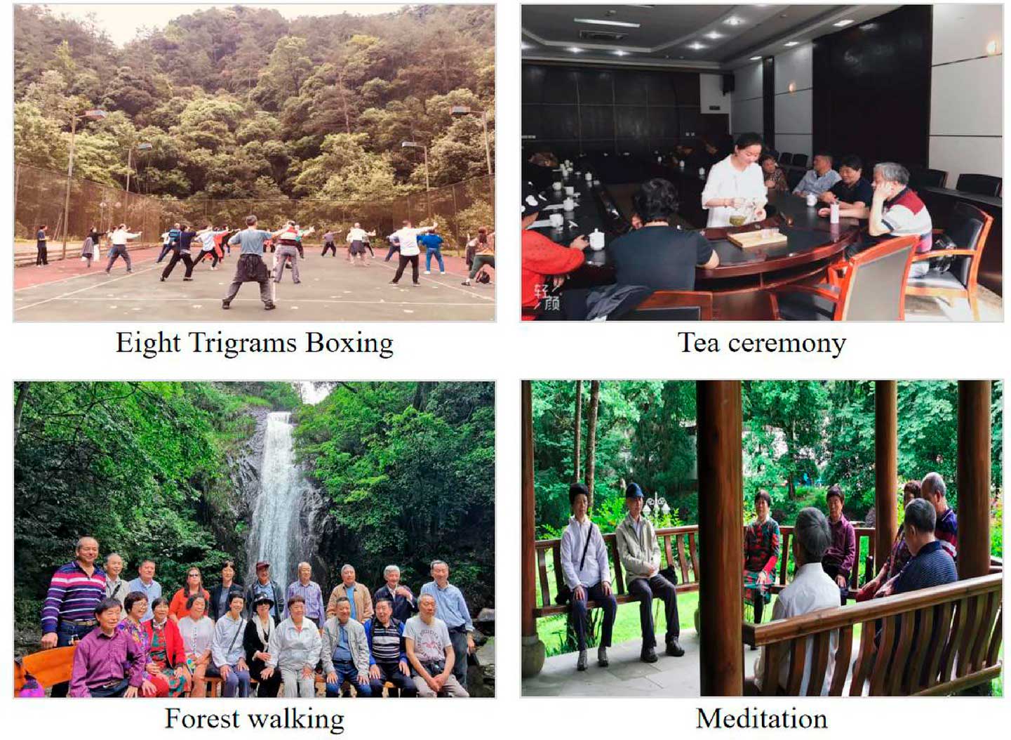 Две группы участников эксперимента. Одна проводила время в лесу, вторая в городе/ © Iwao Uehara, PMC