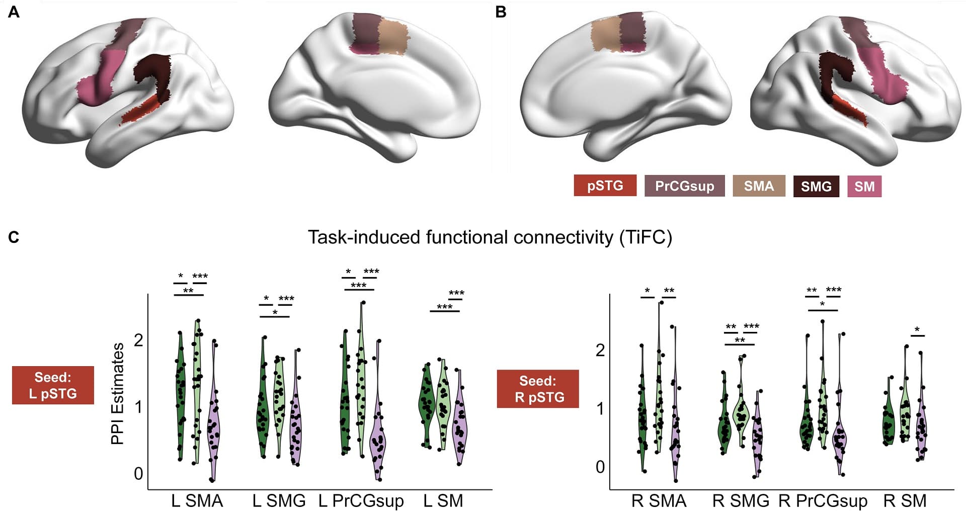 Занятия музыкой замедлили возрастные изменения мозговой активности / © Lei Zhang et al., PLOS Biology