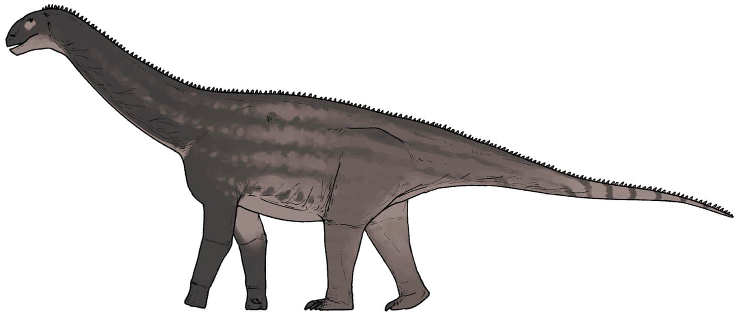 Так мог выглядеть Huashanosaurus qini, живший миллионы лет назад / Wikimedia Commons / © Connor Ashbridge