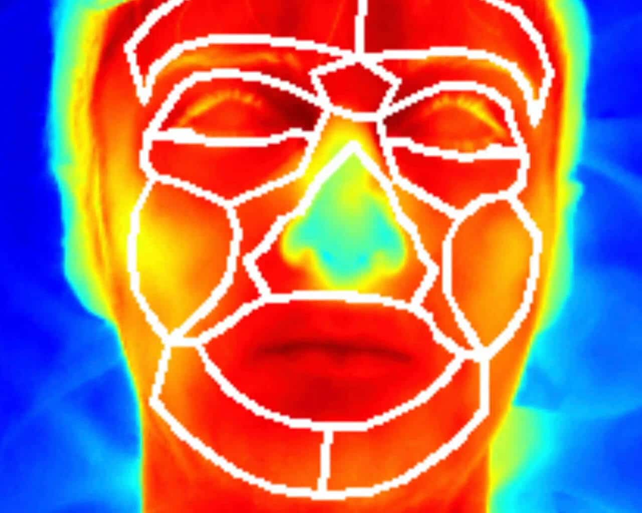 На снимке, сделанном с помощью тепловизионной камеры — лицо взрослого во время прослушивания записи с плачем. Красные области — участки с повышенной температурой / © ENES Bioacoustics Research Lab