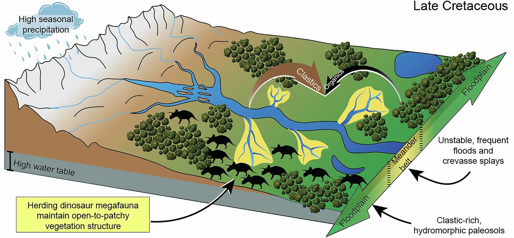 Гидрологический режим и характер осадочных пород в позднем меловом периоде определяли крупные растительноядные динозавры / ©Weaver, L.N., Tobin, T.S., Sprain, C.J. et al. Dinosaur extinction can explain continental facies shifts at the Cretaceous-Paleogene boundary. Commun Earth Environ 6, 712 (2025). https://doi.org/10.1038/s43247-025-02673-8