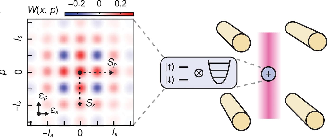 Схема многопараметрического квантового зондирования. Функция Вигнера собственных состояний модульного положения-импульса слева и справа физические состояния решетки, которые подготавливаются в бозонном режиме захваченного иона. Вспомогательный кубит, закодированный в основном электронном состоянии иона, связывается с бозонным режимом посредством лазерного взаимодействия (розовый луч), что позволяет измерять наблюдаемые величины положения и импульса. / Christophe H. Valahu et al./Science Advances 2025