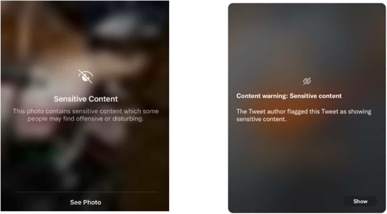 Примеры предупреждений о шок-контенте / © Victoria M.E. Bridgland, Ella K. Moeck, Melanie K.T., Journal of Behavior Therapy and Experimental Psychiatry (2025)