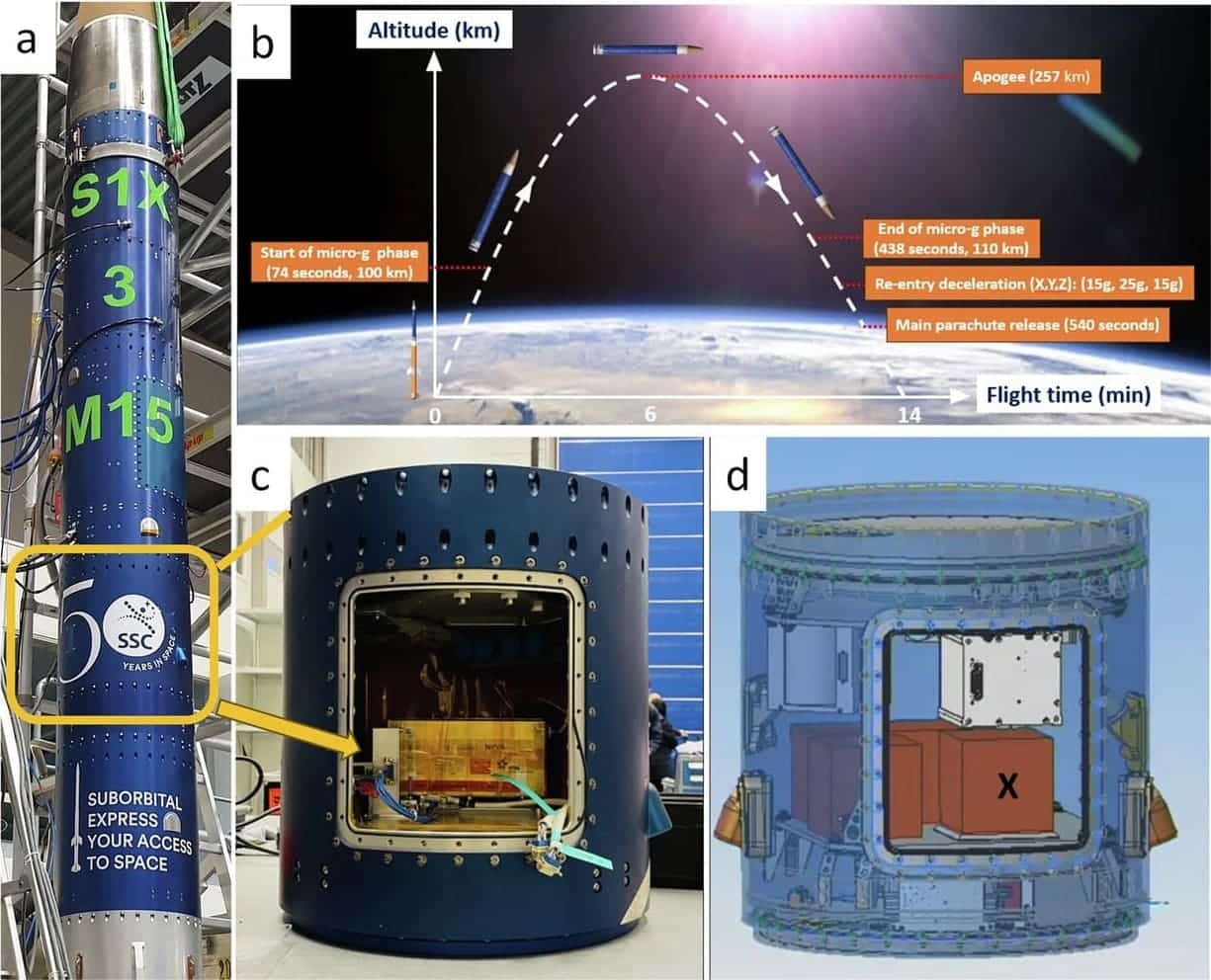 Иллюстрация с описанием эксперимента по запуска спор сенной палочки в космос на суборбитальной ракете: траектория полета и расположение полезной нагрузки / © Eric Yang et al, 2025