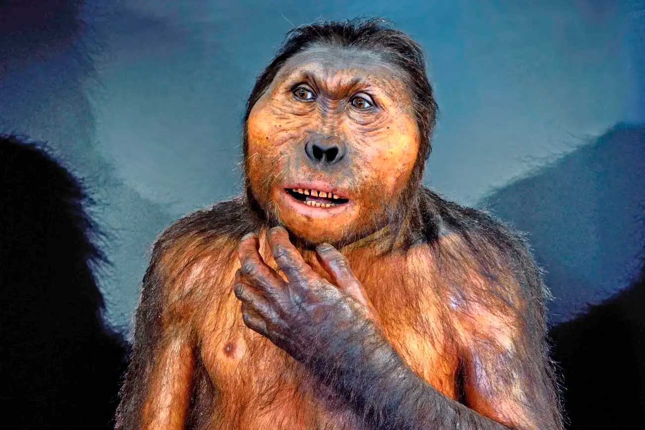 Реконструкция Paranthropus boisei в Музее эволюции человека в Бургосе, Испания / © Alamy, Cro Magnon