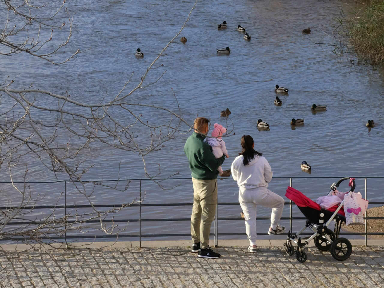 © Yanhao Fang, unsplash.com