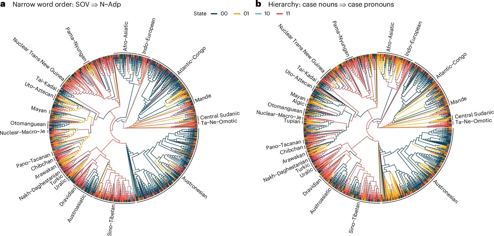 Лингвисты проверили 191 грамматическую закономерность на материале 2430 языков / © Annemarie Verkerk et al., Nature Human Behaviour