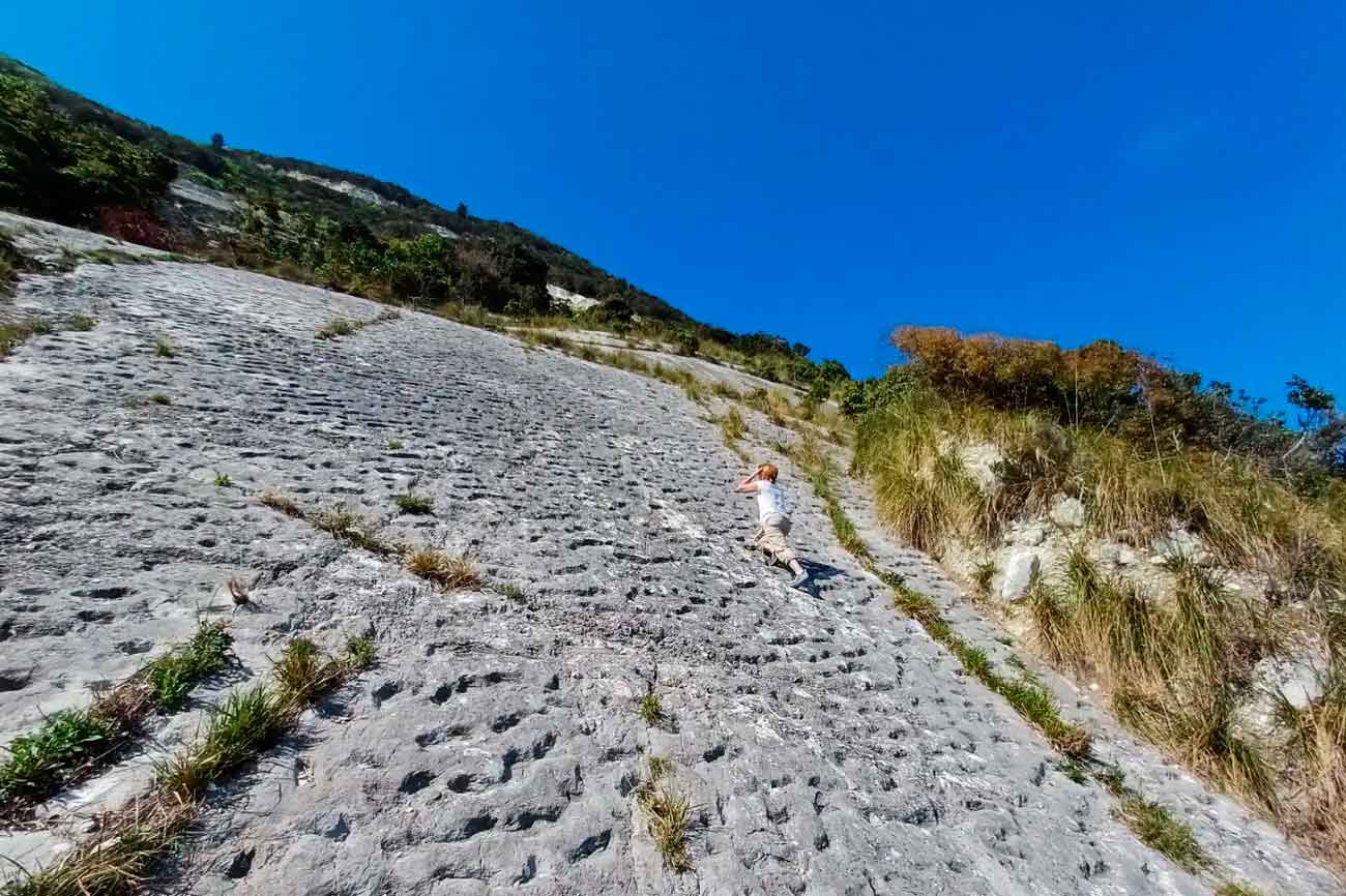 Возможные следы морских черепах в Монте-Конеро, Италия / © Paolo Sandroni